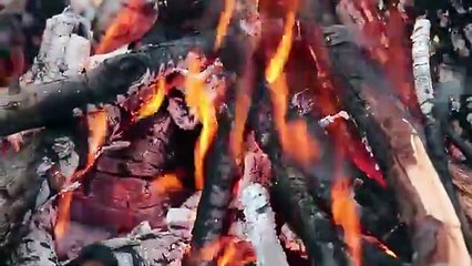 BEST.FILET.MIGNON.EVER! - feat. Mr.Ramsay The Owl