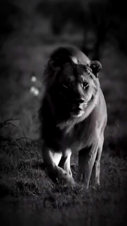 Rise & Inspire: What’s stopping you from chasing your dreams today? Drop your answer below