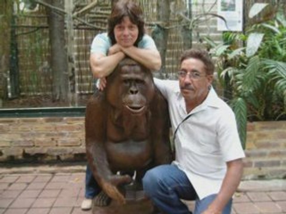 Zoo & Tours