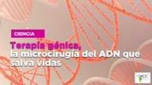 Terapia génica, la microcirugía del ADN que salva vidas