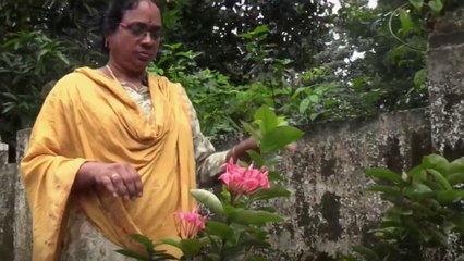 പ്ലാസ്റ്റിക്, ചാക്ക്, കവർ, കുപ്പി... എല്ലാം പൂക്കളാകും.. മണിയമ്മയ്ക്ക് ഇത് ഇഷ്ടവിനോദം | Craft work