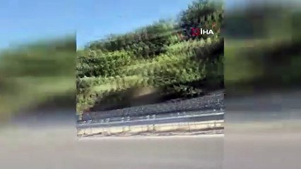 Söke-Kuşadası karayolu çökme nedeniyle ulaşıma kapatıldı