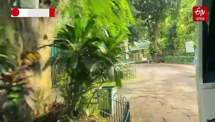 আলিপুরে চলে এল অ্যামাজনের ত্রাস, কবে দেখতে পাবেন দর্শকরা ?