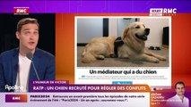 L'humeur de Victor : RATP, un chien recruté pour régler des conflits - 11/08