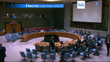 El Consejo de Seguridad de la ONU se reúne de urgencia para tratar la hambruna en Gaza