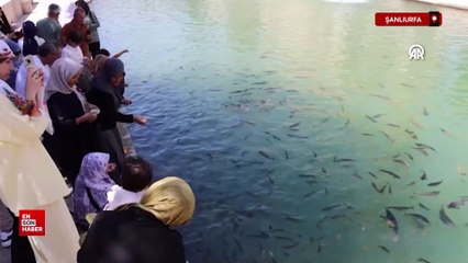 Şanlıurfa'da kavurucu sıcak etkisini sürdürüyor