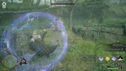 Hogwarts Legacy #44 River Troll