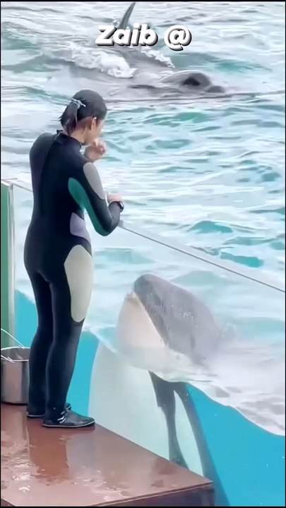 Jessica and dolphin 🐬
