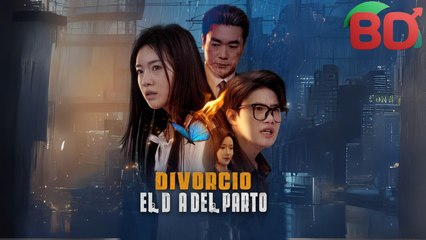Es Divorcio El DíA Del Parto Serie Completa