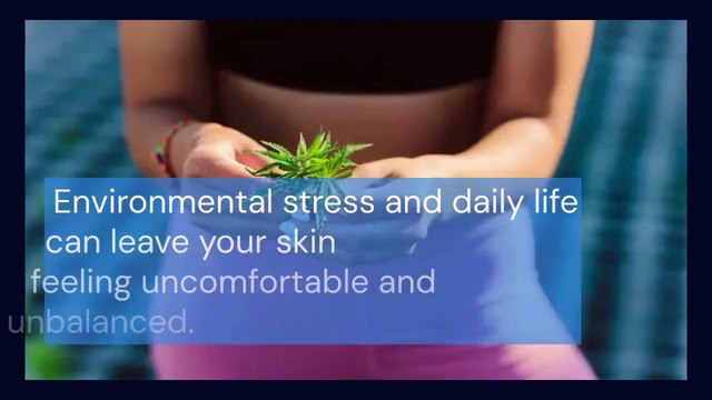 Soothing CBD Skincare Products for Relief and Wellness
