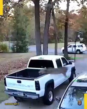 Real Animal Attacks in the Wild These real animal attack moments show the raw and untamed power of nature.🎥#ViralVideo #CaughtOnCamera #UnbelievableMoments #CrazyFootage #MustWatch #DailyDose #OMGVideo #EpicFails #WildClips #ShockingScene #TrendingNow