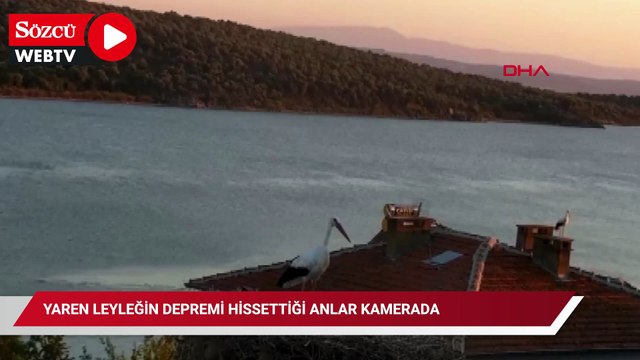 Yaren leyleğin depremi hissettiği anlar kamerada