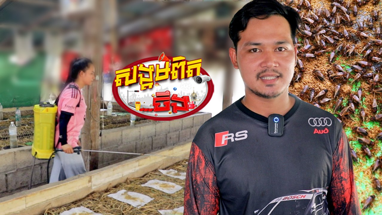 96.ចង្រិតរកចំណូលបានច្រើន