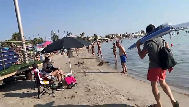Un gruppo di anatre fa il bagno nelle acque del Poetto tra lo stupore dei turisti
