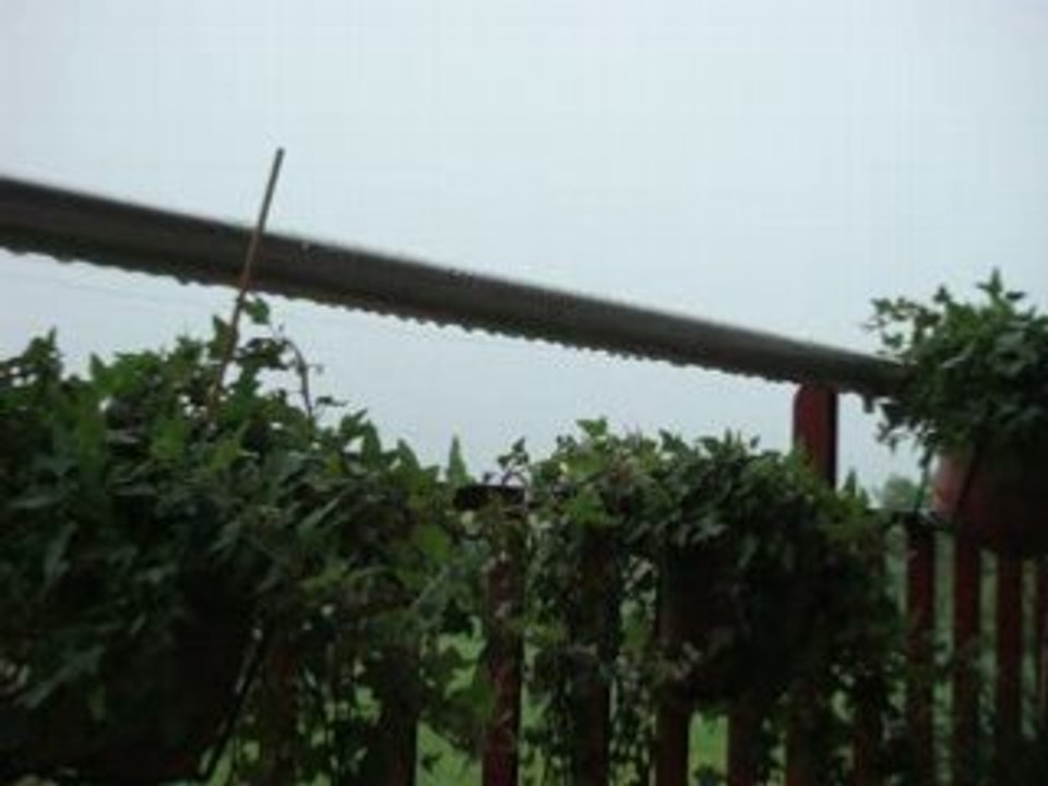 Lierres sous l'orage