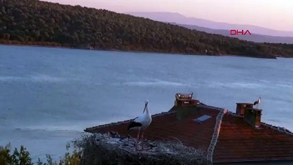 Yaren leylek depreme böyle yakalandı