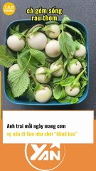 Anh trai mỗi ngày mang cơm vợ nấu đi làm như blindbox