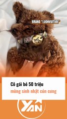 Cô gái bỏ 50 triệu mừng sinh nhật cún cưng