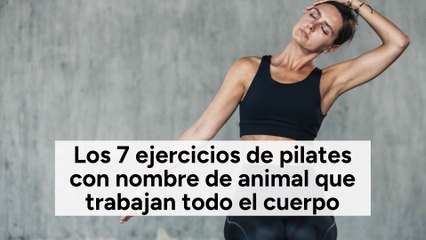 Los 7 ejercicios de pilates con nombre de animal que trabajan todo el cuerpo