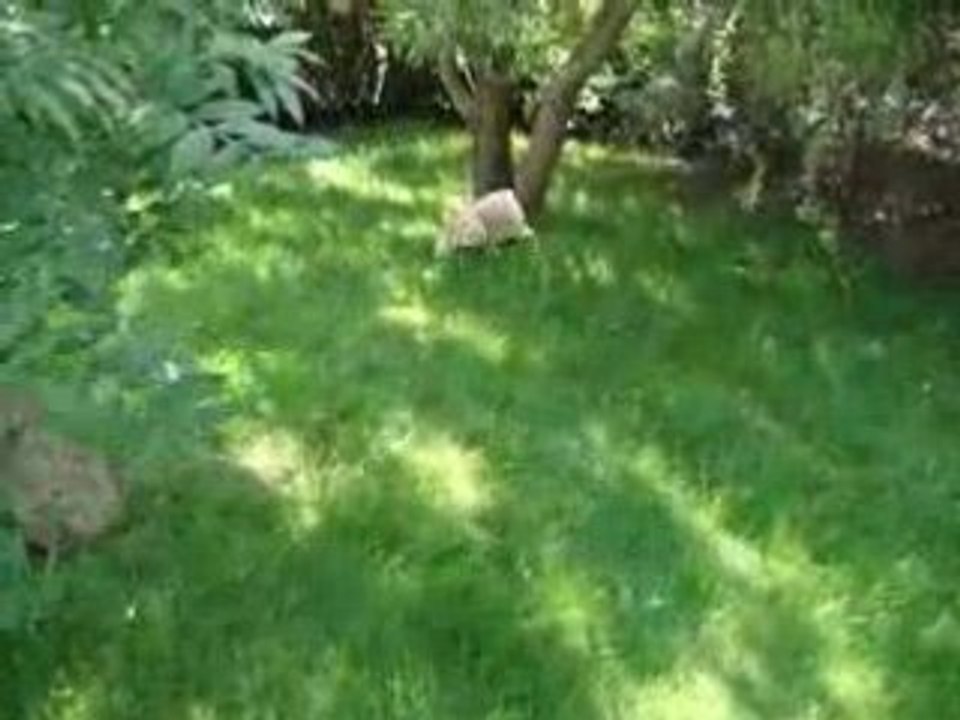 MOV02377