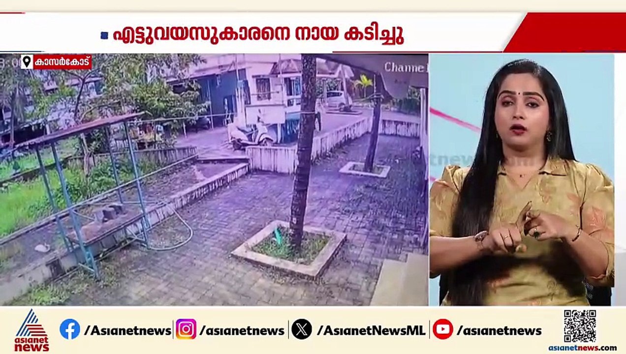 കാസർകോട് രണ്ടിടത്ത് തെരുവുനായ ആക്രമണം; രണ്ട് പേ...