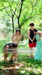 She Tried to Kill the Cute Creature—3 Days Later, Everyone Was Screaming