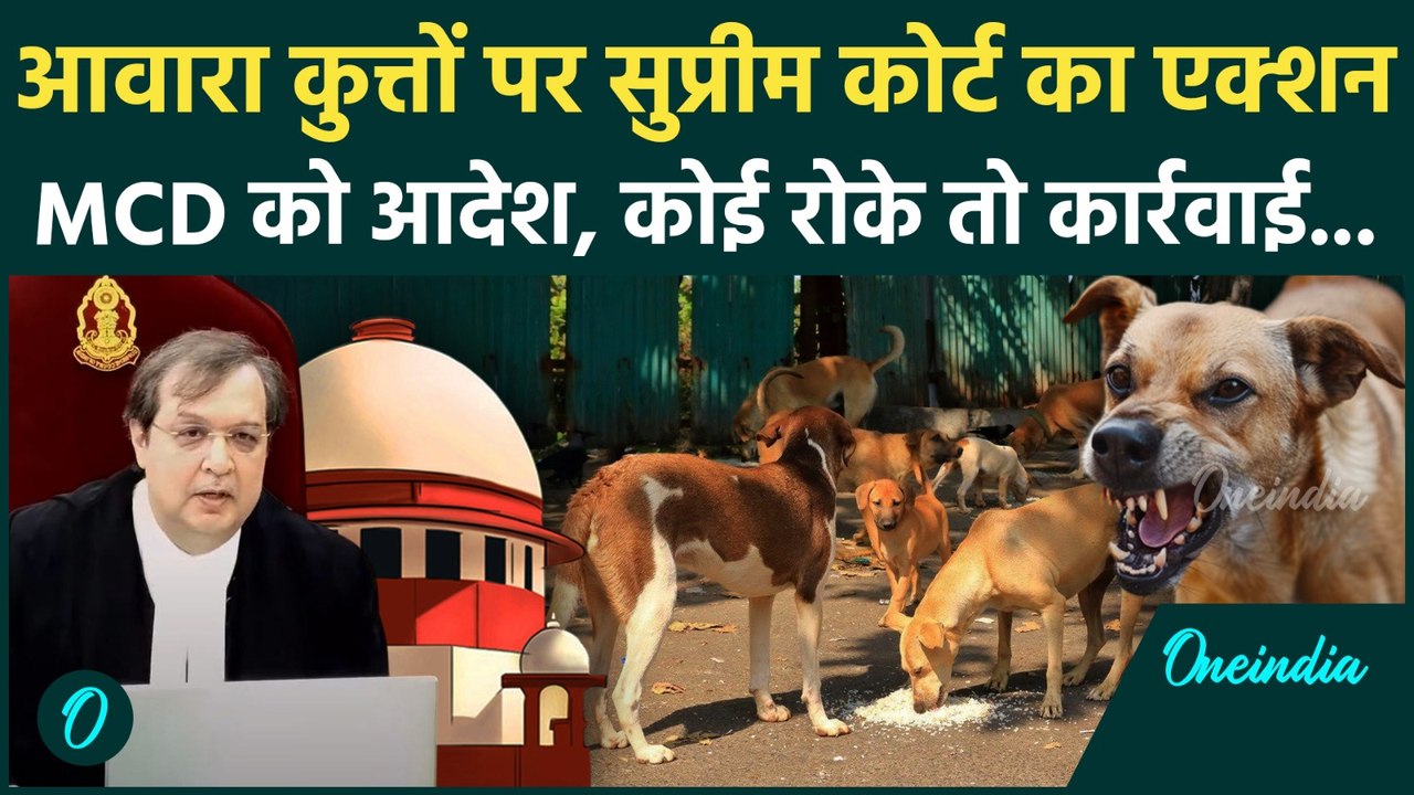 Supreme Court on Stray Dogs: दिल्ली में Awara Kutto को सड़कों से हटाने का SC का सख्त आदेश; जानें