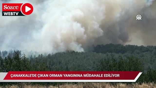 Çanakkale'de çıkan orman yangınına müdahale ediliyor