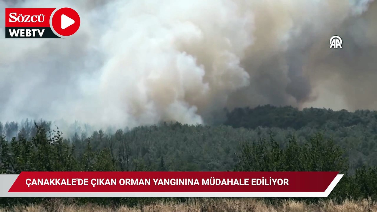 Çanakkale'de çıkan orman yangınına müdahale ediliyor