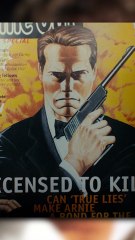 Trues Lies : Le film le plus cool de James Cameron