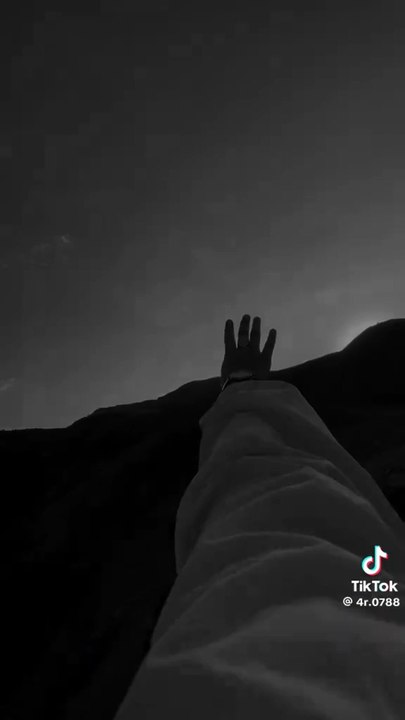 Whispers of Love & Nature 🌸🐾 | Romantic Vibes with Cats, Flowers & Scenic Views