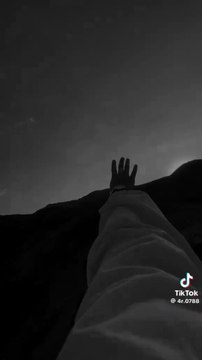 Whispers of Love & Nature 🌸🐾 | Romantic Vibes with Cats, Flowers & Scenic Views