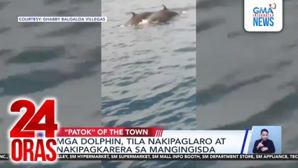 Mga dolphin, tila nakipaglaro at nakipagkarera sa mangingisda sa Bangui, Ilocos Norte | 24 Oras