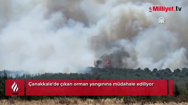 Çanakkale'de çıkan orman yangınına müdahale ediliyor