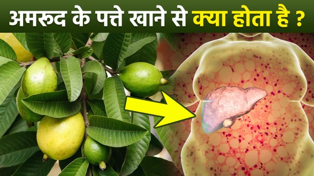 Amrud Ke Patte Khane Se Kya Fayda Hota Hai,Benefits of Guava Leaves for Liver | Boldsky