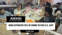 India estimates 55% of goods to face U.S. levy