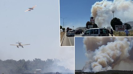 Çanakkale'nin Kepez beldesinde orman yangını