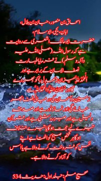 وضو کی فضیلت کا بیان صحیح مسلم : جلد اول : حدیث 534 #قران #بیانات #اسلام #حدیث نبوی