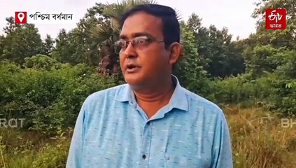 বাড়ছে ভারতীয় নেকড়ের সংখ্যা ! গতিবিধি জানতে ট্র‍্যাপ ক্যামেরা-রেডিয়ো কলারের ভাবনা