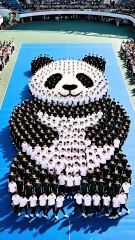 Competition to become a panda - #panda #panda-art #funny #viral