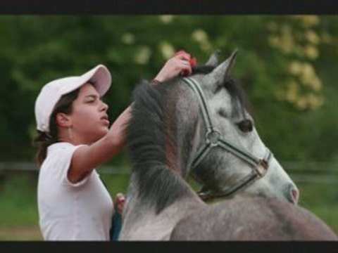 Championnats régionaux CSO