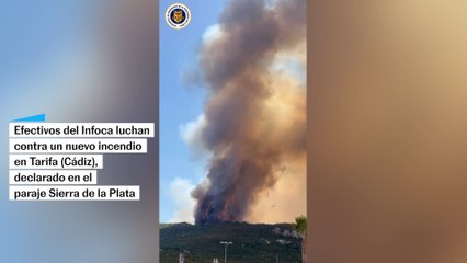 Un nuevo incendio en Tarifa (Cádiz) obliga al desalojo preventivo de Atlanterra