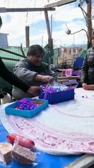 LOS KJARKAS CONCIERTO