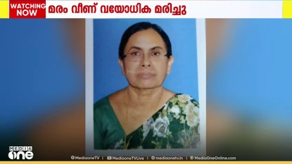 കണ്ണൂർ കൂത്തുപറമ്പിൽ മരം ദേഹത്തുവീണ് വയോധിക മരിച്ചു