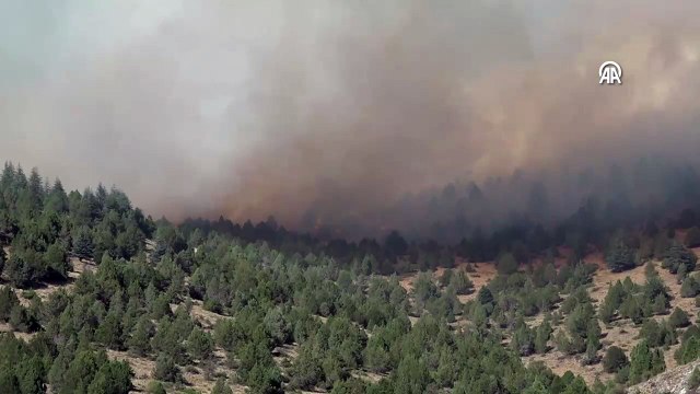 Göksun ilçesinde çıkan orman yangınına müdahale ediliyor