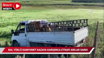 Bal yüklü kamyonet kazaya karışınca etrafı arılar sardı