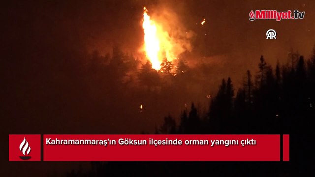 Göksun ilçesinde çıkan orman yangınına müdahale ediliyor
