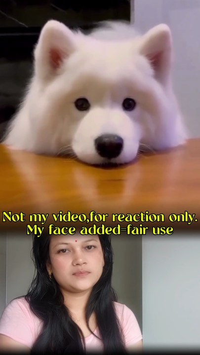 Funny Dog and Puppy🤣