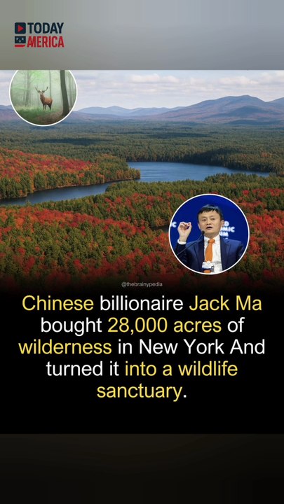 Alibaba Founder Buys 28,000 Acres… and Gives It Back to Nature#JackMa #WildlifeSanctuary #Conservation #Adirondacks #EnvironmentalStewardship #NaturePreserve #Biodiversity #GoodNews #SustainableFuture #ecowarrior