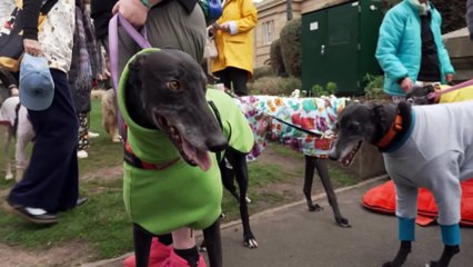 Tasmania's Crossbenchers Take Center Stage in Shaping the New Political Landscape 🗳️